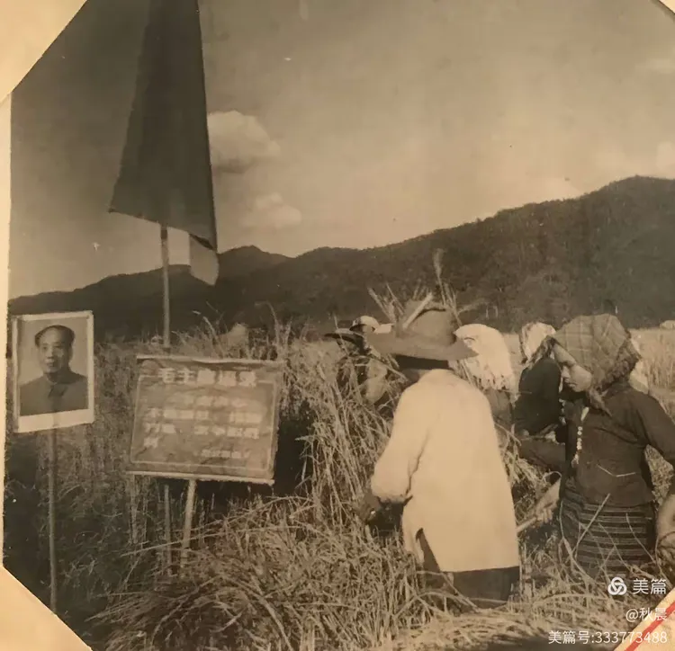 【兵站轶事～亲历赴汤蹈火 】